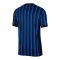 Nike Inter Mailand Authentic Trikot Home 2025/2026 Blau F439 - blau