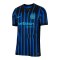 Nike Inter Mailand Authentic Trikot Home 2025/2026 Blau F439 - blau