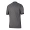 Nike Inter Mailand Authentic Trikot 3rd 2026/2027 Grau F069 - grau