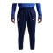Nike Inter Mailand Trainingshose Blau F492 - blau