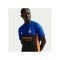 Nike ACG X Inter Mailand Authentic 4th Trikot 2025/2026 Blau F413 - blau
