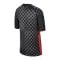 Nike HNS Kroatien Trikot Away EM 2020 Kids Grau F060 - grau