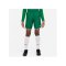Nike Laser V Woven Short Kids Grün Weiss F302 - gruen