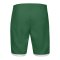 Nike Laser VI Short Kids Grün F302 - gruen