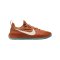 Nike Lebron TR 1 Schuh Braun F200 - braun