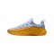 Nike LeBron TR 1 Grau F401 - blau