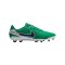Nike Legend 10 Academy LV8 FG Fear Nothing Grün F300 - gruen