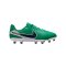Nike Legend 10 Academy LV8 FG/MG Fear Nothing Kids Grün F300 - gruen