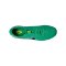 Nike Tiempo Legend X Elite Pro-Player-Edition SG-Pro Fear Nothing Grün F300 - gruen