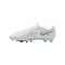 Nike Air Zoom Mercurial Superfly 11 Elite AG Bright Lights Weiß F102 - weiss