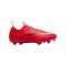 Nike Jr. Air Zoom Mercurial Vapor XVII Academy MG Break'Em Kids Rot F600 - rot