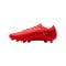 Nike Air Zoom Mercurial Vapor XVII Pro AG Break'Em Rot F600 - rot