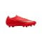 Nike Air Zoom Mercurial Vapor XVII Pro AG Break'Em Rot F600 - rot
