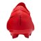 Nike Air Zoom Mercurial Vapor XVII Pro FG Break'Em Kids Rot F600 - rot