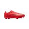 Nike Air Zoom Mercurial Vapor XVII Pro FG Break'Em Kids Rot F600 - rot