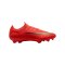 Nike Air Zoom Mercurial Vapor XVII Pro FG Break'Em Rot F600 - rot