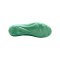 Nike Air Zoom Mercurial Vapor 17 Pro FG 
