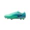 Nike Air Zoom Mercurial Vapor 17 Pro FG 