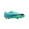 Nike Air Zoom Mercurial Vapor 17 Pro FG 