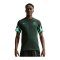 Nike NFF Nigeria Primary T-Shirt Grün F397 - gruen