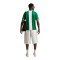 Nike NFF Nigeria Reissue 1996 Trikot Grün F310 - gruen