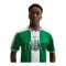 Nike NFF Nigeria Reissue 1996 Trikot Grün F310 - gruen