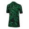 Nike Nigeria Trikot Away 2024 Kids Schwarz F010 - grau