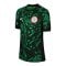 Nike Nigeria Trikot Away 2024 Kids Schwarz F010 - grau