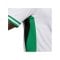 Nike Nigeria Trikot Home 2024 Weiss F100 - weiss