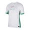 Nike Nigeria Trikot Home 2024 Weiss F100 - weiss