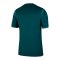 Nike NFF Nigeria Trikot Home 2025/2026 Grün F483 - gruen