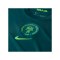 Nike NFF Nigeria Trikot Home 2025/2026 Grün F483 - gruen