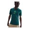 Nike NFF Nigeria Trikot Home 2025/2026 Grün F483 - gruen