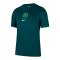 Nike NFF Nigeria Trikot Home 2025/2026 Grün F483 - gruen