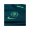 Nike NFF Nigeria Trikot Home 2025/2026 Damen Grün F483 - gruen
