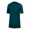 Nike NFF Nigeria Trikot Home 2025/2026 Kids Grün F483 - gruen