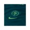 Nike NFF Nigeria Trikot Home 2025/2026 Kids Grün F483 - gruen