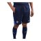 Nike Paris Saint-Germain Strike Short Blau F410 - blau