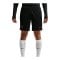 Nike Paris Saint-Germain Strike Short Schwarz F010 - schwarz