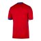 Nike Paris Saint-Germain Trikot 3rd 2025/2026 Rot F680 - rot