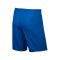 Nike Park II Short mit Innenslip Blau F463 - blau