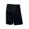 Nike Park II Short mit Innenslip Schwarz F010 - schwarz