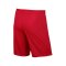 Nike Park II Short mit Innenslip Kids Rot F657 - rot