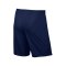 Nike Park II Short ohne Innenslip Blau F410 - blau