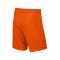 Nike Park II Short ohne Innenslip Orange F815 - orange