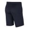 Nike Park 20 Knit Short Kids Blau Weiss F451 - blau