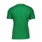 Nike Park 20 Poloshirt Grün Weiss F302 - gruen