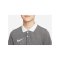 Nike Park 20 Poloshirt Kids Grau Weiss F071 - grau