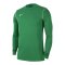 Nike Park 20 Sweatshirt Kids Grün Weiss F302 - gruen