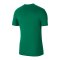Nike Park 20 T-Shirt Kids Grün Weiss F302 - gruen